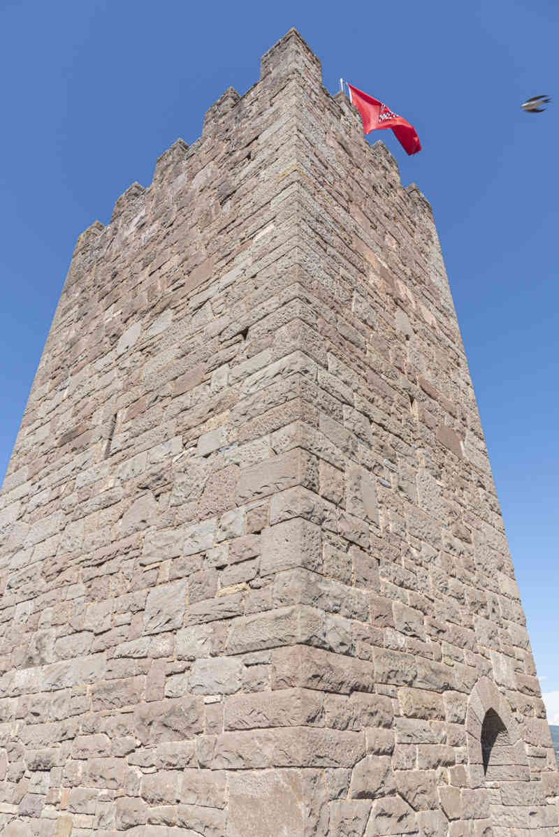 Reyno de Navarra - Javier 12 - castillo de Javier - torre del Homenaje o de San Miguel.jpg